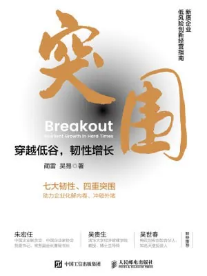 突围：穿越低谷，韧性增长（epub）