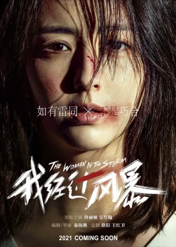 我经过风暴（2023）
